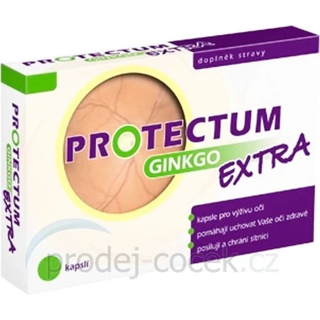 PROTECTUM GINKGO EXTRA 1×90 caps, ginkgo