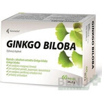 Noventis GINKGO BILOBA 1×60 cps