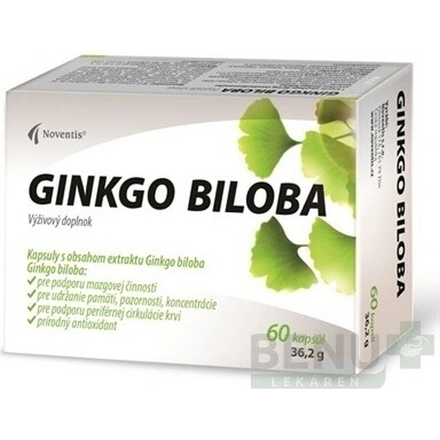 Noventis GINKGO BILOBA 1×60 cps