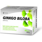 Noventis GINKGO BILOBA 1×60 cps