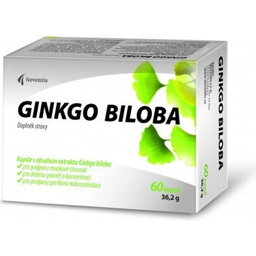 Noventis GINKGO BILOBA 1×60 cps