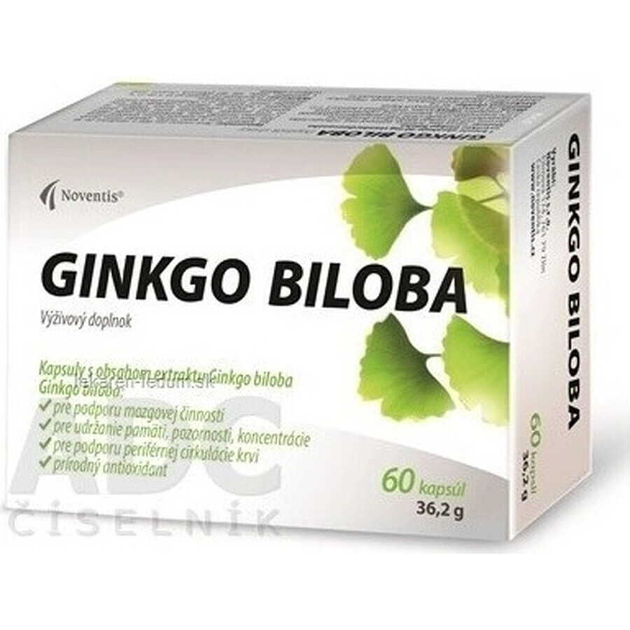 Noventis GINKGO BILOBA 1×60 cps