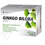 Noventis GINKGO BILOBA 1×60 cps