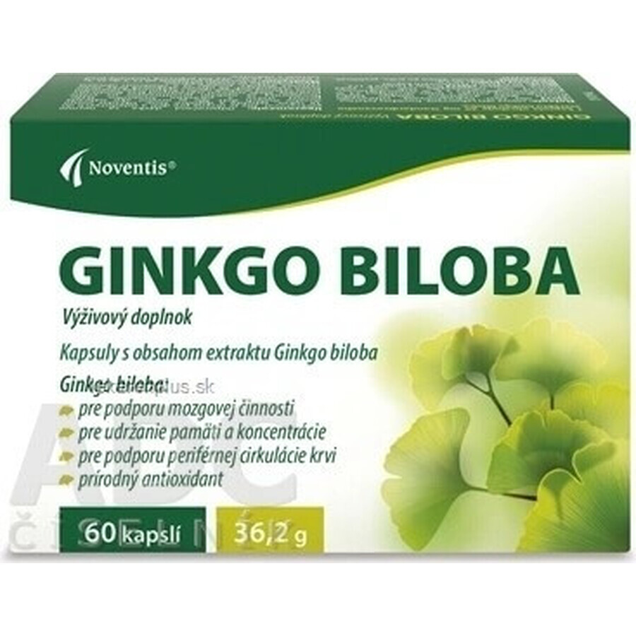 Noventis GINKGO BILOBA 1×60 cps