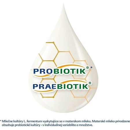 HiPP 2 BIO Combiotik® Preparado de continuación para lactantes (a partir de 6 meses) 1×500 g, preparado para lactantes