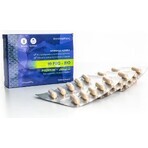 Slovakiapharm 10 PRO - BIO PREMIUM + fibre 1×10 cps, supliment alimentar Slovakiapharm 10 PRO - BIO PREMIUM + fibre 1×10 cps, supliment alimentar
