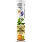 compava ACIDOFIT MD OANGE+LIMET 1×16 tbl, bevanda minerale - arancia e lime compava ACIDOFIT MD OANGE+LIMET 1×16 tbl, bevanda minerale - arancia e lime