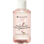 Yves Rocher La Collection Shg Ceresna 1×200 ml shower gel Yves Rocher La Collection Shg Ceresna 1×200 ml shower gel