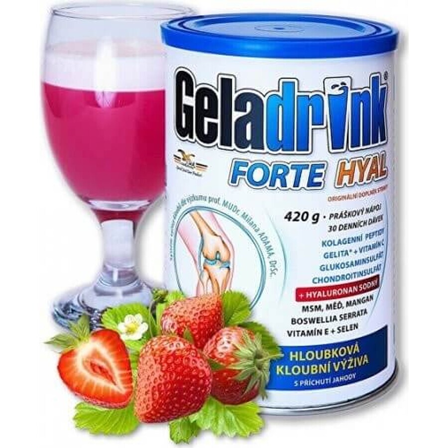 GELADRINK FORTE HYAL 420G FRAGOLE 1×