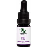 CANNABIOpharm CBD 20% 1×10 ml