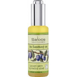 SALOOS Plum vegetable oil 1×20 ml oil