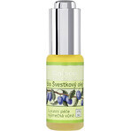 SALOOS Olio vegetale di prugna 1×20 ml olio SALOOS Olio vegetale di prugna 1×20 ml olio