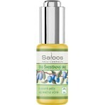 SALOOS Olio vegetale di prugna 1×20 ml olio SALOOS Olio vegetale di prugna 1×20 ml olio