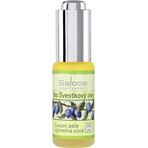 SALOOS Olio vegetale di prugna 1×20 ml olio SALOOS Olio vegetale di prugna 1×20 ml olio