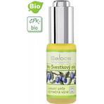 SALOOS Olio vegetale di prugna 1×20 ml olio SALOOS Olio vegetale di prugna 1×20 ml olio