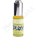 SALOOS Olio vegetale di prugna 1×20 ml olio SALOOS Olio vegetale di prugna 1×20 ml olio