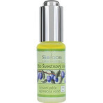 SALOOS Olio vegetale di prugna 1×20 ml olio SALOOS Olio vegetale di prugna 1×20 ml olio