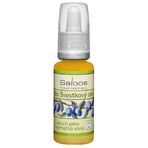 SALOOS Olio vegetale di prugna 1×20 ml olio SALOOS Olio vegetale di prugna 1×20 ml olio