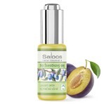 SALOOS Olio vegetale di prugna 1×20 ml olio SALOOS Olio vegetale di prugna 1×20 ml olio