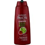 GARNIER FRUCTIS COLOUR RESIST Shampooing 1×400ml, shampooing pour cheveux