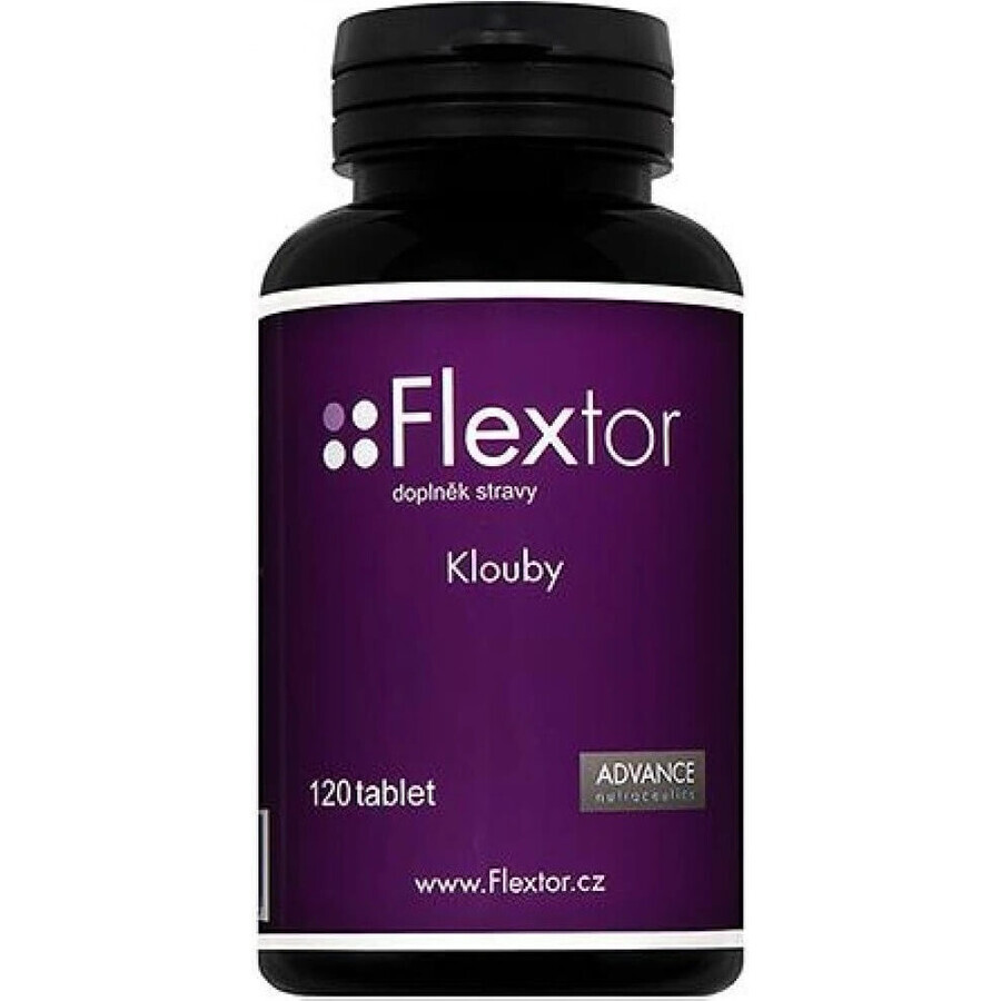 Flextor 120 tbl. - Gelenknahrung 1×120 tbl., Nahrungsergänzungsmittel