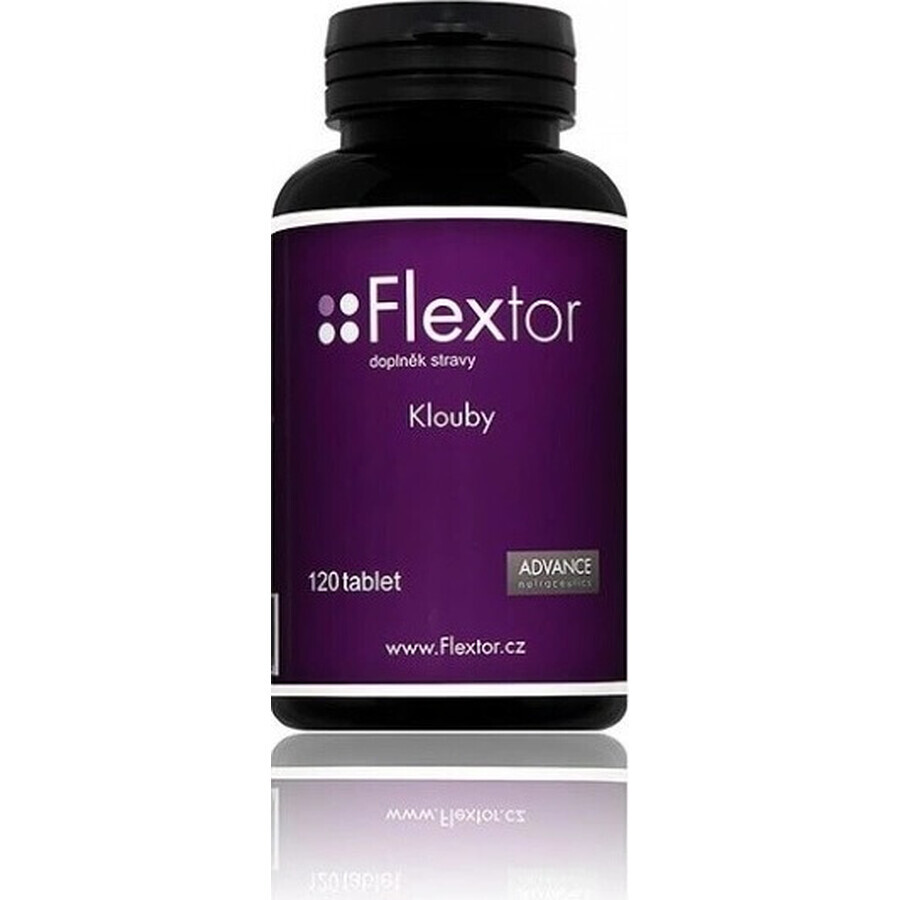 Flextor 120 tbl. - Gelenknahrung 1×120 tbl., Nahrungsergänzungsmittel
