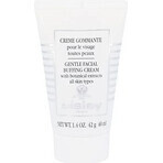 Sisley Peeling detergente per tutti i tipi di pelle 40 ml 1×40 ml 1×40 ml, peeling