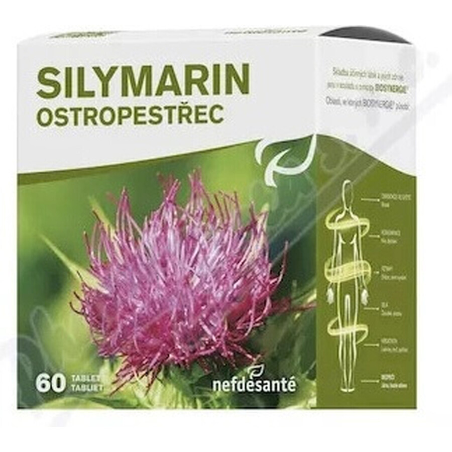 SILYMARIN 1×60 tbl, silimarină