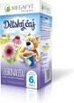 MEGAFYT Children&#39;s tea with ECHINACEA 20&#215;2 g (40 g), fruit and herbal tea