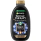 Garnier Botanic Therapy Shampooing nettoyant au charbon magnétique, 250 ml 1×250 ml, shampooing nettoyant