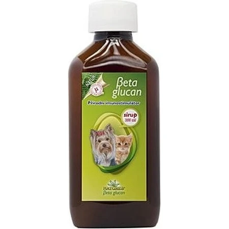 NATURES BETA GLUCAN BETA GLUCAN CHILDREN'S SIRUP+ 1×100 ml, goût fraise des bois