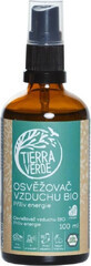 Tierra Verde Bio Fresheners Priliv Energie 1&#215;100ml, air freshener