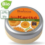 Saloos bioKarité baume à l'argousier 1×50 ml, produit naturel pur Saloos bioKarité baume à l'argousier 1×50 ml, produit naturel pur