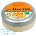 Saloos bioKarité baume à l'argousier 1×50 ml, produit naturel pur Saloos bioKarité baume à l'argousier 1×50 ml, produit naturel pur