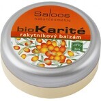 Saloos bioKarité baume à l'argousier 1×50 ml, produit naturel pur Saloos bioKarité baume à l'argousier 1×50 ml, produit naturel pur