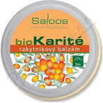 Saloos bioKarité baume à l'argousier 1×50 ml, produit naturel pur Saloos bioKarité baume à l'argousier 1×50 ml, produit naturel pur