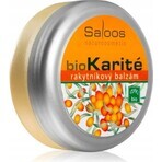 Saloos bioKarité baume à l'argousier 1×50 ml, produit naturel pur Saloos bioKarité baume à l'argousier 1×50 ml, produit naturel pur