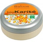 Saloos bioKarité baume à l'argousier 1×50 ml, produit naturel pur Saloos bioKarité baume à l'argousier 1×50 ml, produit naturel pur