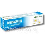 LIFTEA HERBAZULEN 1×10 g, ointment LIFTEA HERBAZULEN 1×10 g, ointment