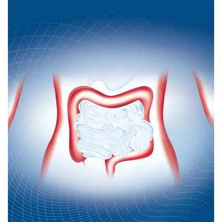 Biopron Forte 1×10 cps, complemento alimenticio