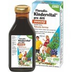 SALUS Floradix Floradix Kindervital fruitig 1×250 ml, kruidensiroop SALUS Floradix Floradix Kindervital fruitig 1×250 ml, kruidensiroop