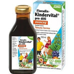 SALUS Floradix Floradix Kindervital fruitig 1×250 ml, kruidensiroop SALUS Floradix Floradix Kindervital fruitig 1×250 ml, kruidensiroop