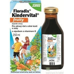 SALUS Floradix Floradix Kindervital fruitig 1×250 ml, kruidensiroop SALUS Floradix Floradix Kindervital fruitig 1×250 ml, kruidensiroop