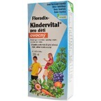 SALUS Floradix Floradix Kindervital fruitig 1×250 ml, kruidensiroop SALUS Floradix Floradix Kindervital fruitig 1×250 ml, kruidensiroop
