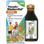 SALUS Floradix Floradix Kindervital fruitig 1×250 ml, kruidensiroop SALUS Floradix Floradix Kindervital fruitig 1×250 ml, kruidensiroop
