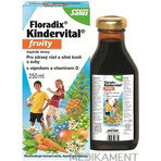 SALUS Floradix Floradix Kindervital fruitig 1×250 ml, kruidensiroop SALUS Floradix Floradix Kindervital fruitig 1×250 ml, kruidensiroop