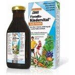 SALUS Floradix Floradix Kindervital fruitig 1×250 ml, kruidensiroop SALUS Floradix Floradix Kindervital fruitig 1×250 ml, kruidensiroop