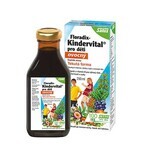 SALUS Floradix Floradix Kindervital fruitig 1×250 ml, kruidensiroop SALUS Floradix Floradix Kindervital fruitig 1×250 ml, kruidensiroop