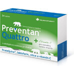 FARMAX Preventan Quattro + vitamine C 1×24 tbl, voedingssupplement FARMAX Preventan Quattro + vitamine C 1×24 tbl, voedingssupplement