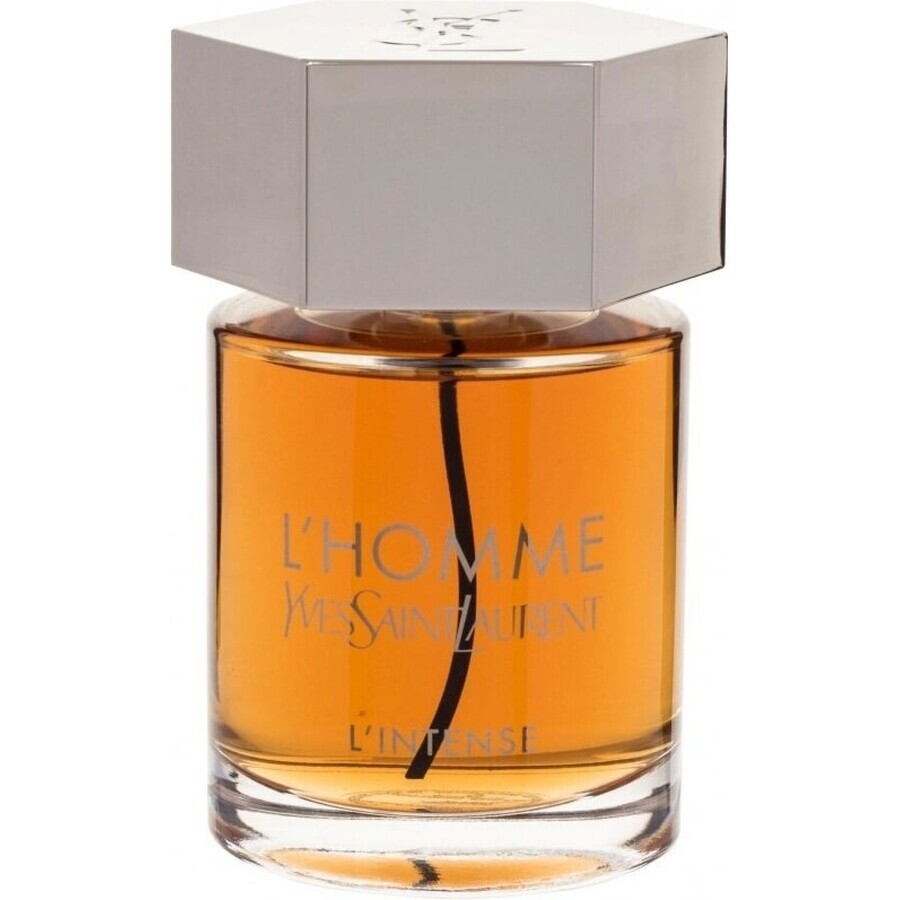 Yves Saint Laurent L Homme Edp 100ml 1×100 ml, eau de parfum